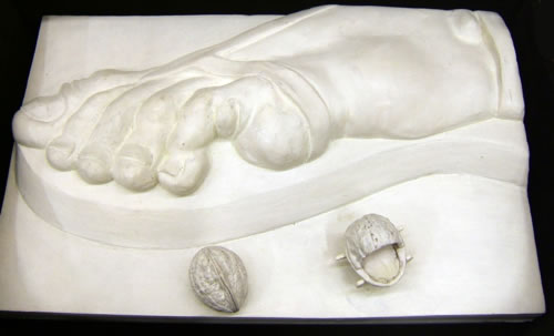 A tactile object of a foot and two nuts. One of the nuts is open and shaped in the form of a crib in which a small baby is sleeping.